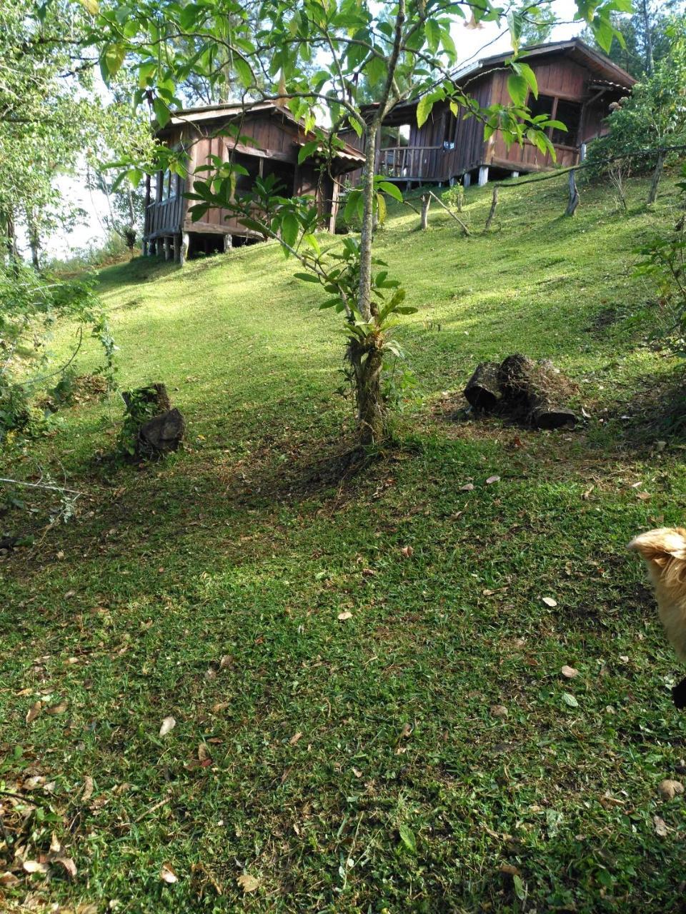 Cabanas Don Camilo Albergue De Montana Cabecera de Canas Exteriör bild