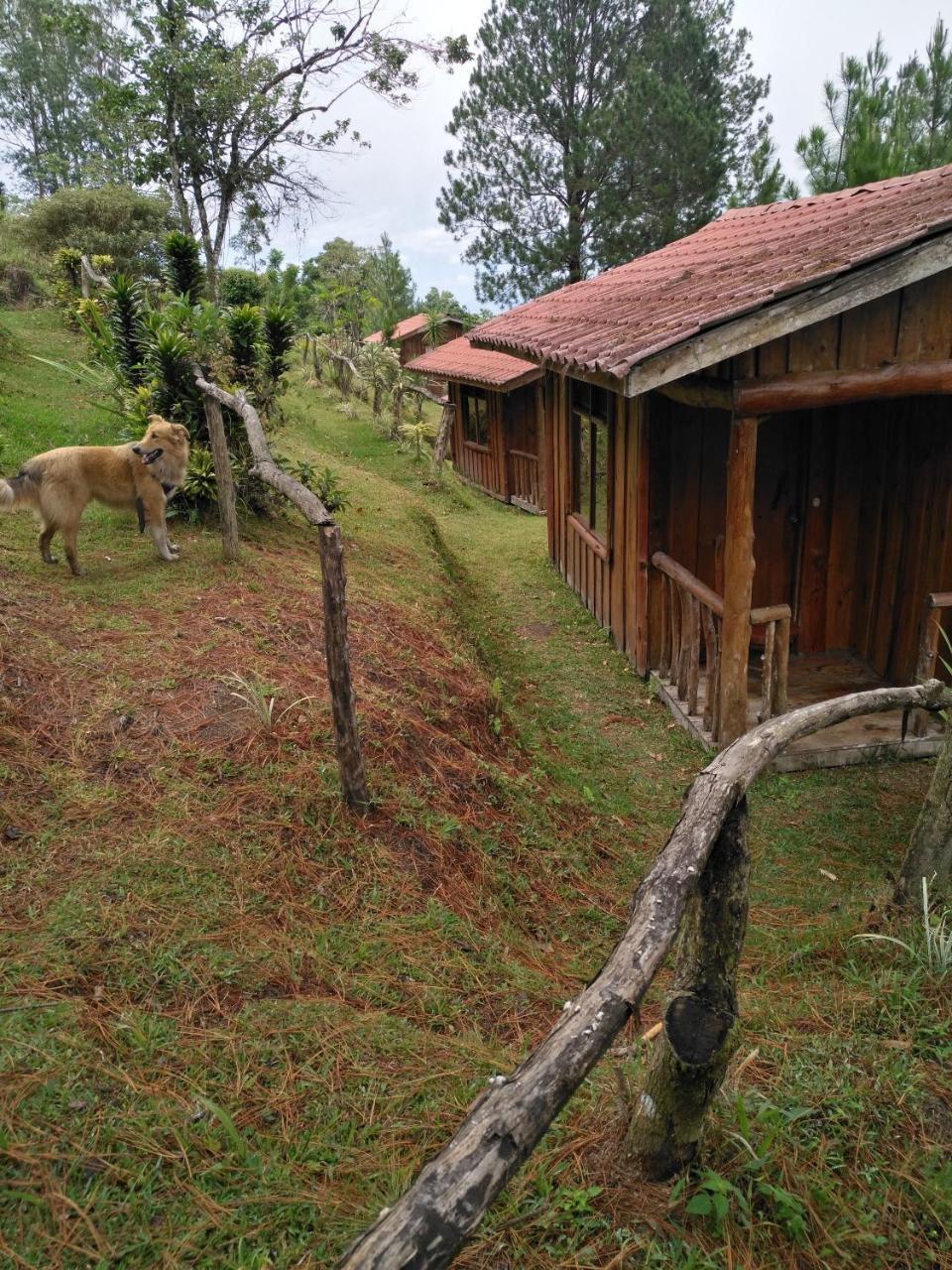 Cabanas Don Camilo Albergue De Montana Cabecera de Canas Exteriör bild