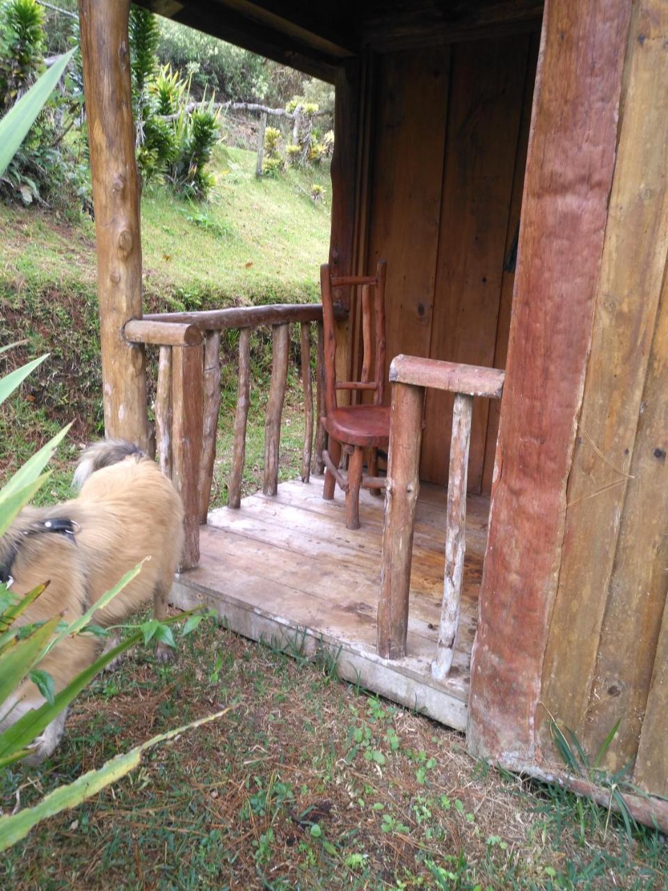 Cabanas Don Camilo Albergue De Montana Cabecera de Canas Exteriör bild